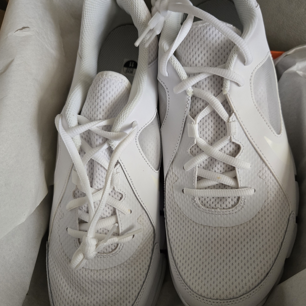 Nike New Flex Show TR 2 in White and Pure Platinum